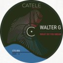 Walter G - What Do You Mean (Original Mix)