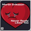Martin Eriksson - Never Really Liked You