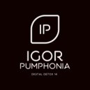 Igor Pumphonia - Digital Detox 14 (Promo Mix)