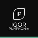 Igor Pumphonia - The Simulator