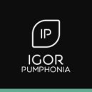 Igor Pumphonia - The Simulator (Original Mix)