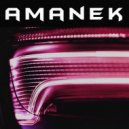 AMANEK - V12