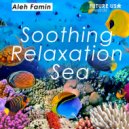 Aleh Famin - Soothing Relaxation Sea
