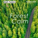 Aleh Famin - Forest Сalm