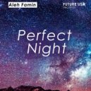 Aleh Famin - Perfect Night