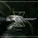 Nari & Steve Tosi - Stars Song (Original Mix)