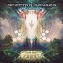 Spectro Senses & Kbyte - Magic Garden