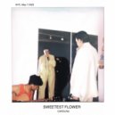 Carolina - Sweetest Flower ()
