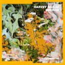 Harvey McKay - Elves Playground (Original Mix)