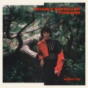 Charly Schaller - Togians (Original Mix)