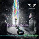 Sirius Effect - B- Voices (Speed Mix)