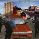 Low End Activist - Wild Roses