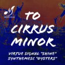 Synthemesc - Oysters (Original Mix)