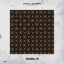 Anomalje & Squarehead - What About