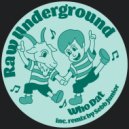 Raw Underground - Disco Will Never Be Gone (Original Mix)