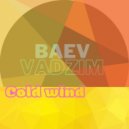 Baev Vadzim - Cold wind (Original Mix)