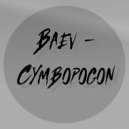 Baev - Cymbopogon (Original Mix)