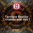 DJ Lastic - Terrible Reality ( crossbreed mix )