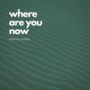 Marcus Levinas - Where Are You Now