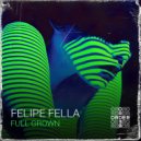 Felipe Fella - Told Ya (Original Mix)