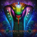 Astrix & Tristan - Awake the Snake (Volcano on Mars Remix)