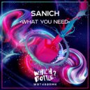 Sanich - What You Need