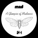 M路A路D - A Glimpse of Madness