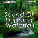 Aleh Famin - Sound Of Dripping Waterfall