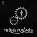 Transylvania Damn Fun - Basma (Battle of Zgomot Remix)