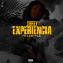 DIBREY - EXPERIENCIA