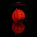 XLR:840 - The Sky Is Dark (Original Mix)