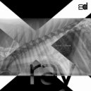 snailHam - FOFF (Part 3)