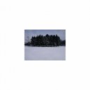 Mindfulness Healing Sleep BGM Project - Carnation & Healing (Sleep BGM)