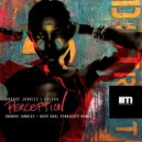 Groove Junkies & Solara - Perception (Groove Junkies & Deep Soul Syndicate Remix)