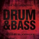 Mixed by BloodWood - Sound Labyrinths