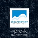 dj Pro-k - awakening