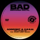 Acidpoint & C.E.S.M. - Influence