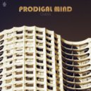 Prodigal Mind - Guess