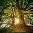 Dido 1 & Seraphina Jane - Discovery Forest (feat. Seraphina Jane)