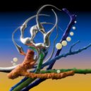 Dominik Marz, Radial Gaze - E-Functions