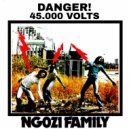 Ngozi Family - Tichenjele ()