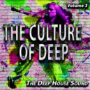 Human House - Pet Shop (Modell & Mercier\'s Deep Mix)