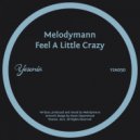 Melodymann - Feel A Little Crazy (Original Mix)