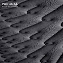Pascual - Methodology (Original Mix)