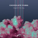 Chocolate Puma - Beyond The Sky