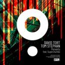 David Tort, Tom Stephan feat. Superchumbo - Perverts