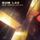 Aum Lab - Brotha' From Another Mother