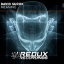 David Surok - Meaning