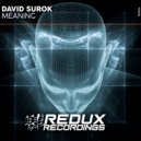 David Surok - Meaning (Original Mix)