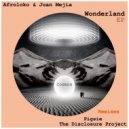 Afroloko & Juan Mejia - Wonderland (The Disclosure Project Remix)